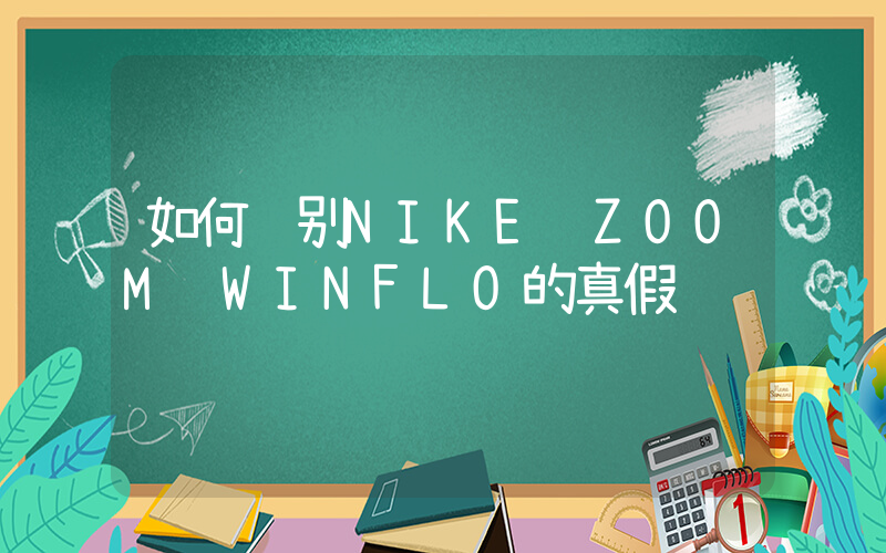 如何鉴别NIKE ZOOM WINFLO的真假插图